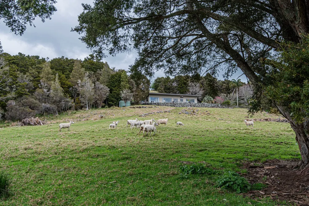 Photos of 415 Crane Road