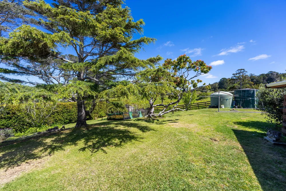 Photos of 25 Albert Street