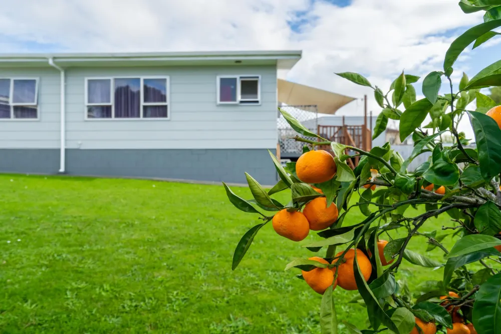 Photos of 64 Tapper Crescent