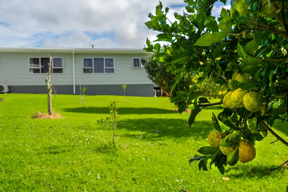 Photos of 64 Tapper Crescent