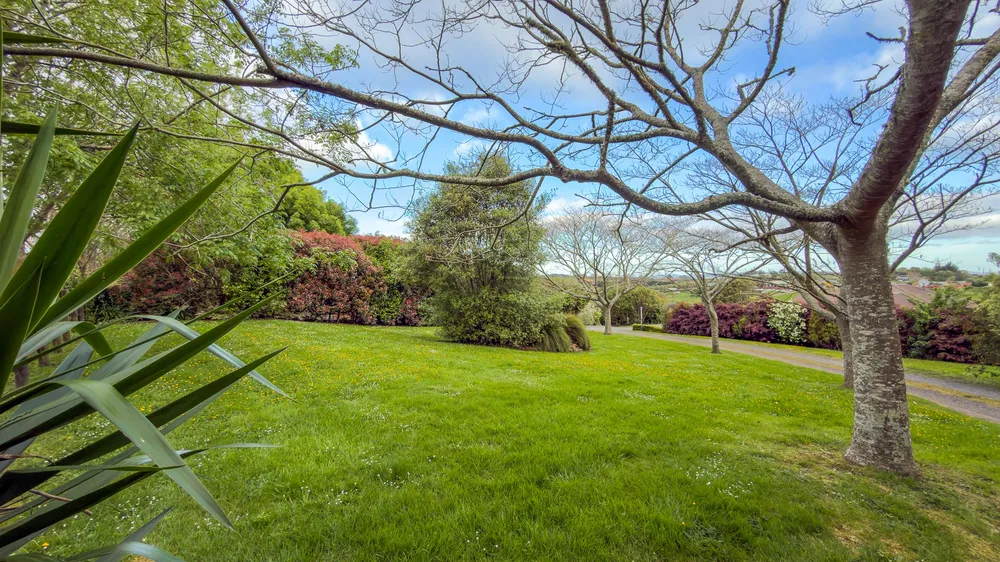 Photos of 8 Josephine Place
