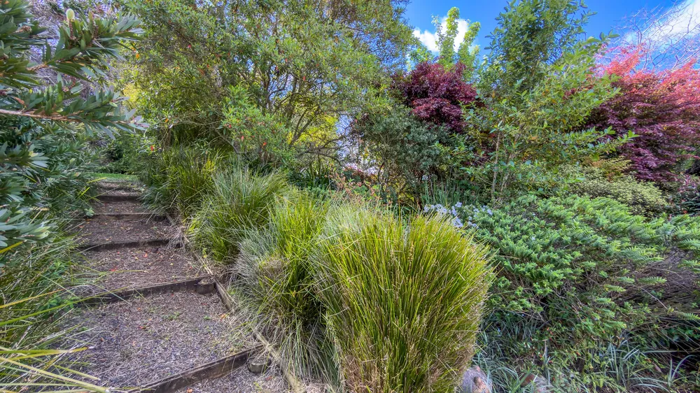 Photos of 8 Josephine Place