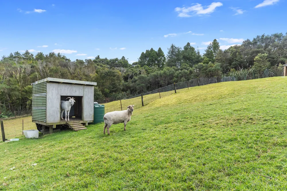 Photos of 233 Pigs Head Road