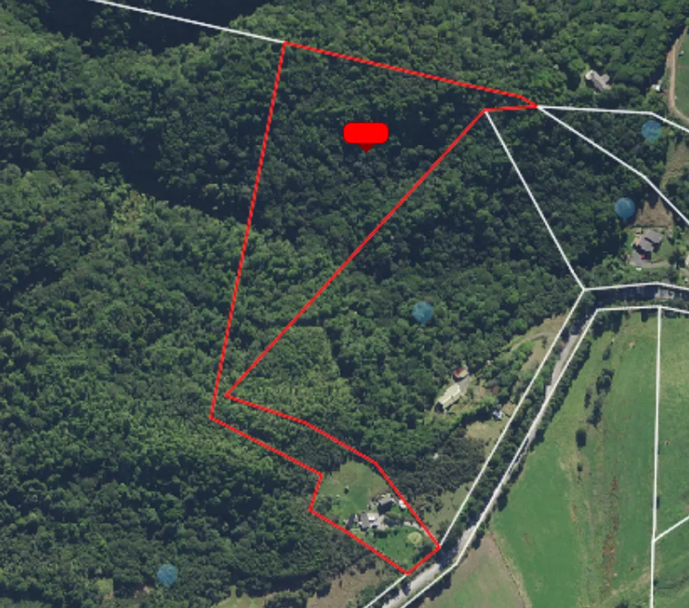 Photos of 233 Pigs Head Road