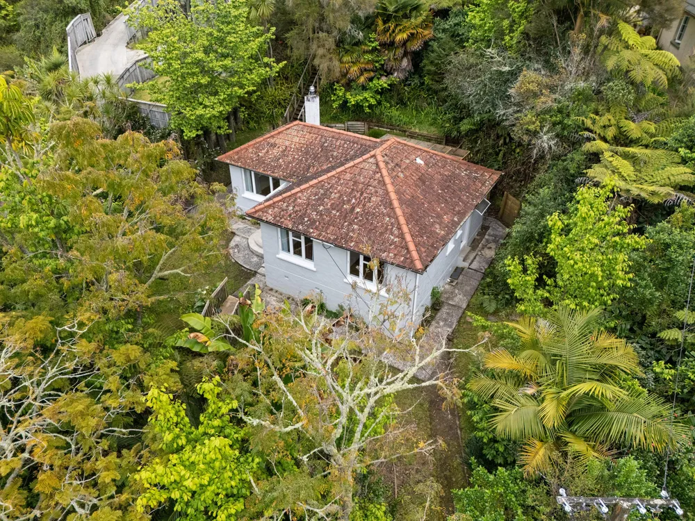 Photos of 248 Western Hills Drive