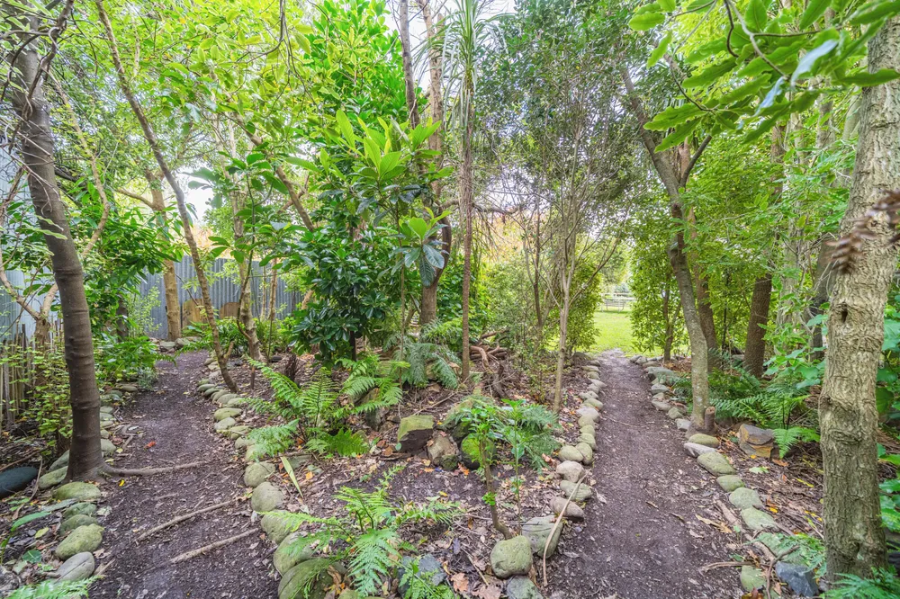 Photos of 33 Miro Street