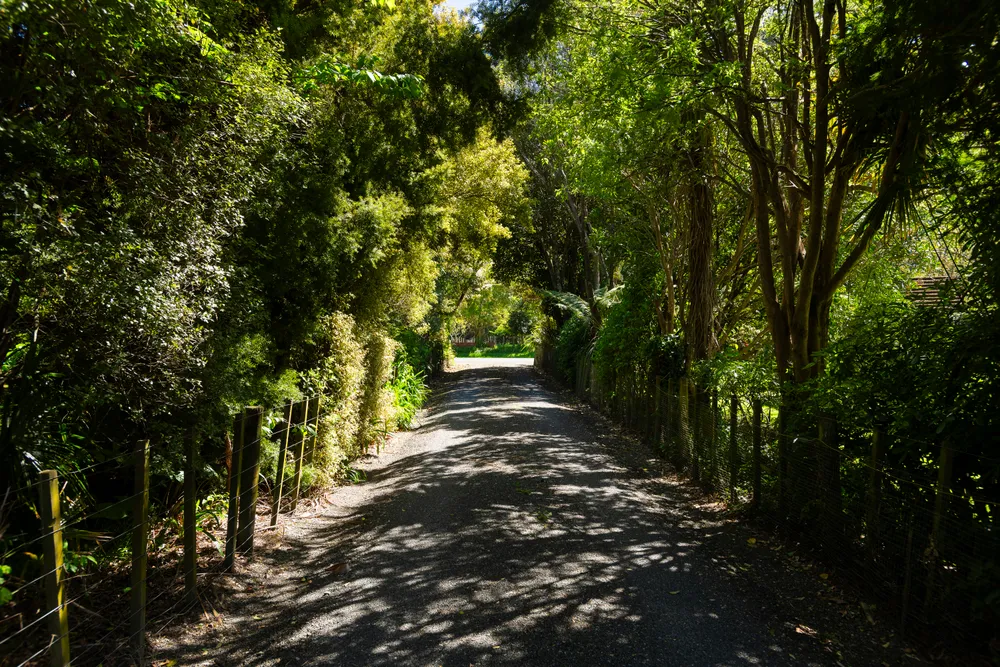 Photo of 5 Dryden Street, Whataupoko