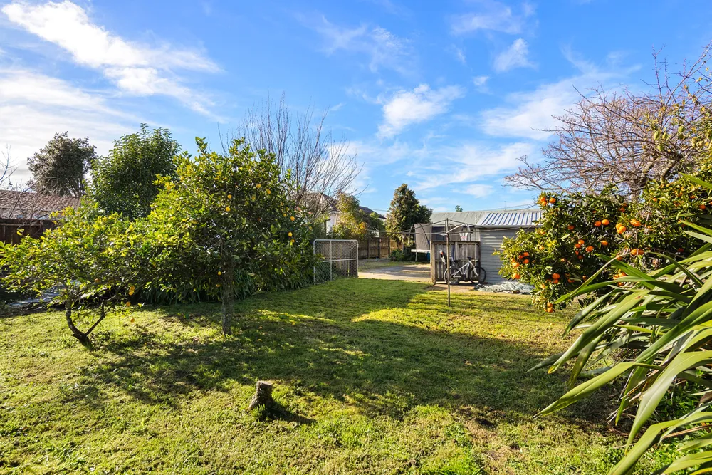 Photos of 6 Devery Street