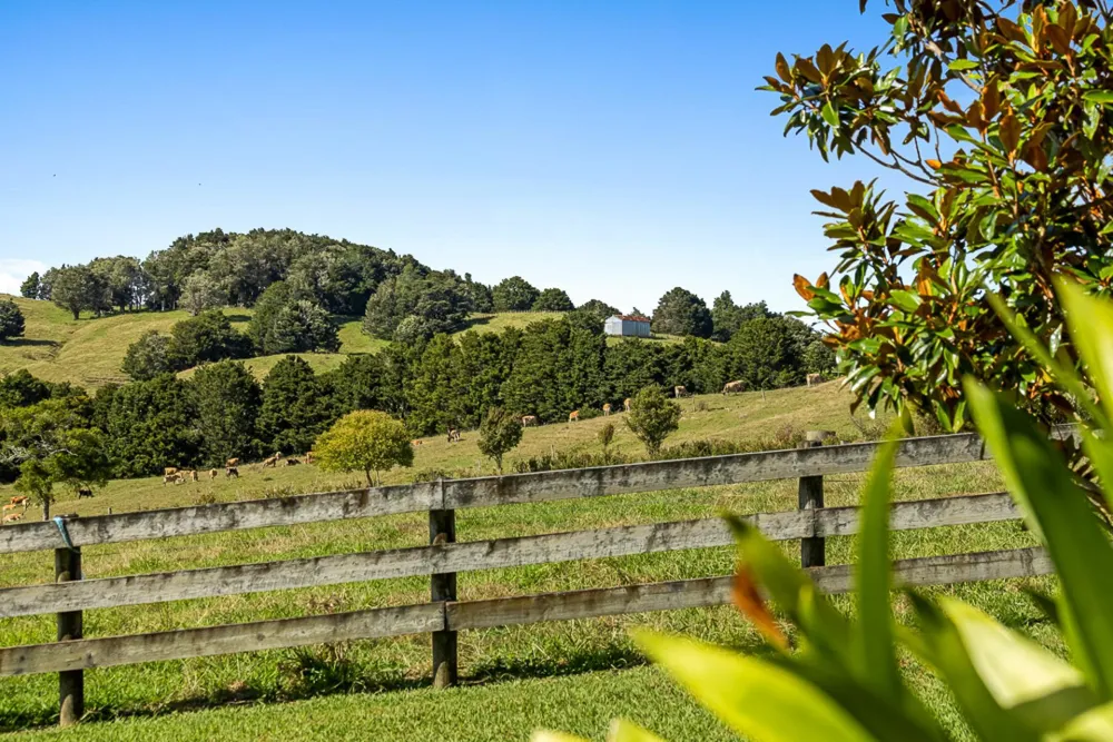 Photos of 123 Whakapirau Road