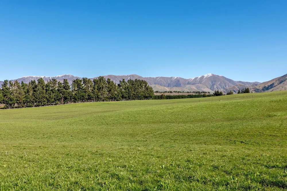 Photos of 405 Upper Downs Road