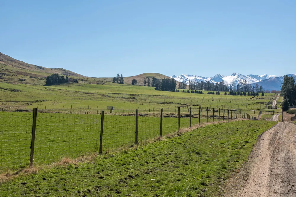 Photos of 405 Upper Downs Road