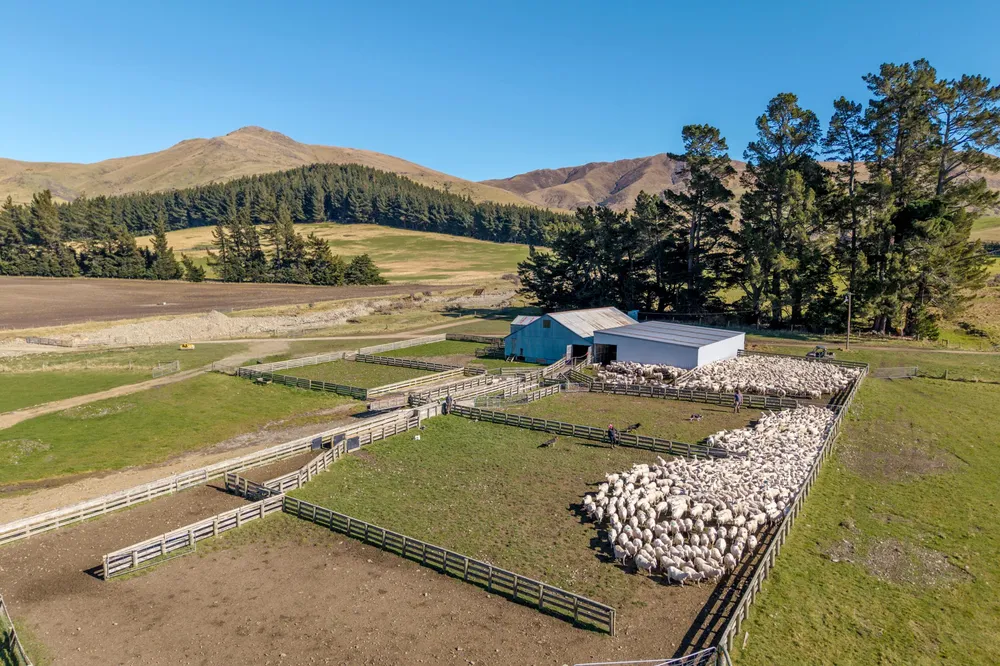 Photos of 405 Upper Downs Road
