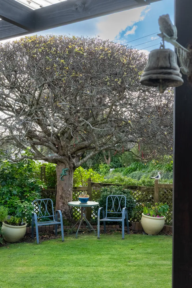 Photos of 1/2 Basilton Close