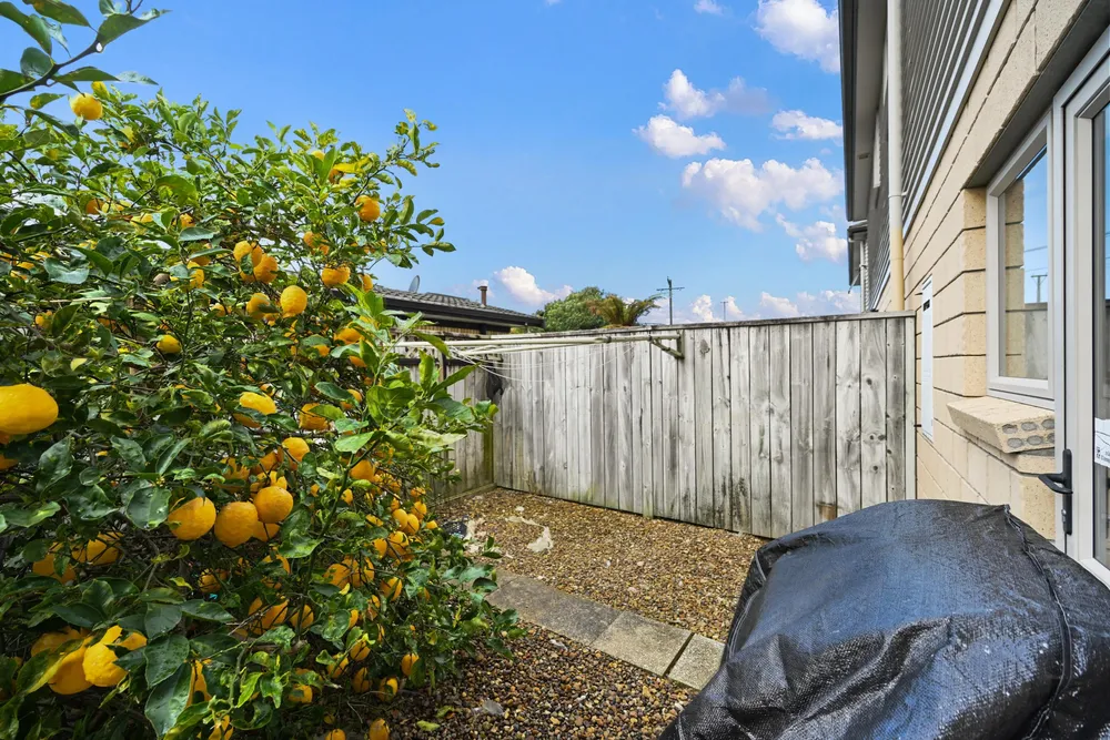 Photos of 3C Dudley Terrace