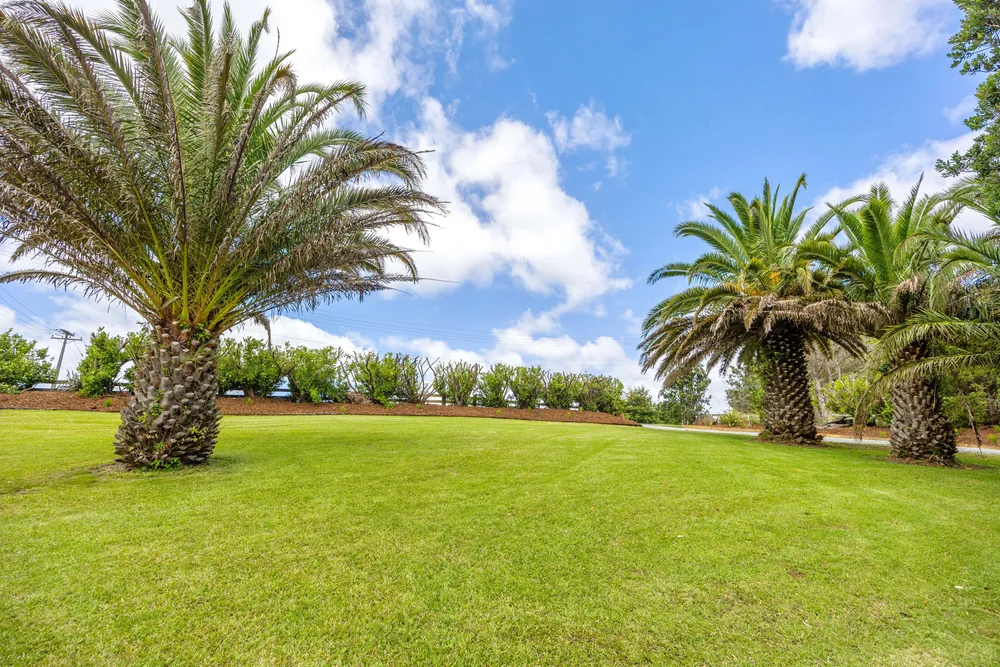 Photos of 24 Mahurangi East Road