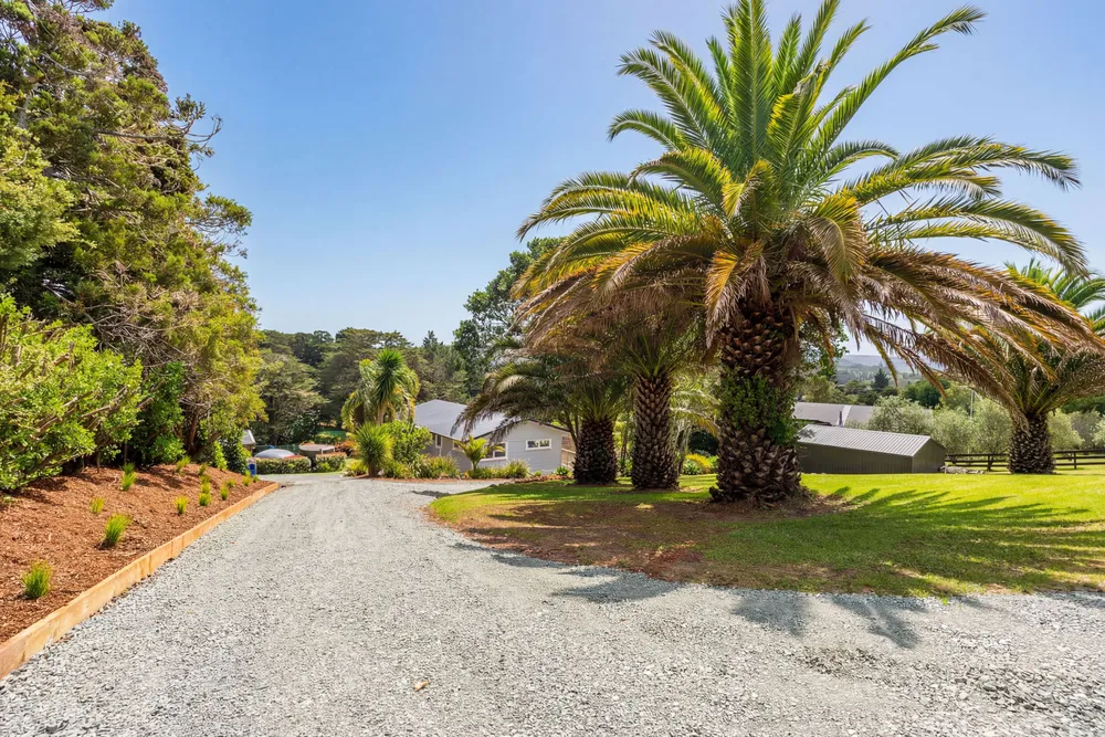 Photos of 24 Mahurangi East Road