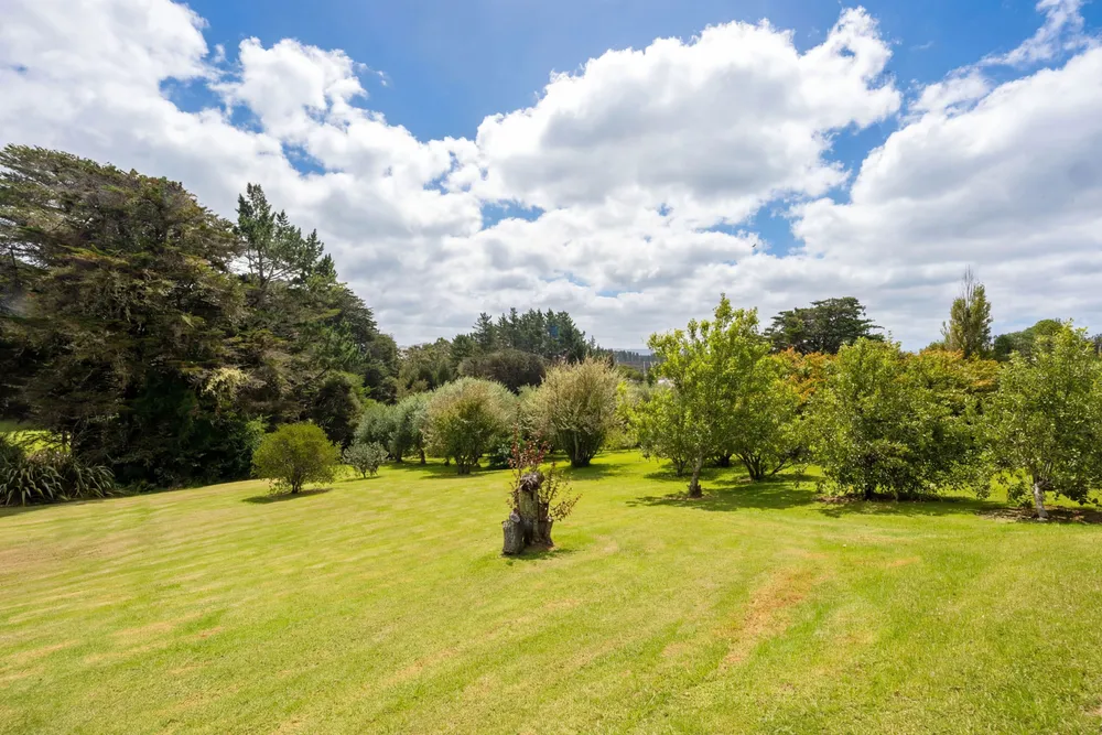 Photos of 24 Mahurangi East Road