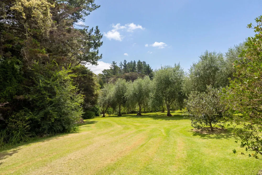 Photos of 24 Mahurangi East Road