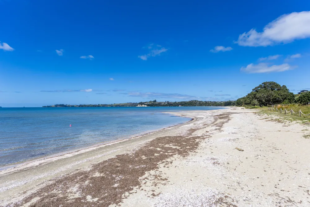 Photos of 17 Trevally Place