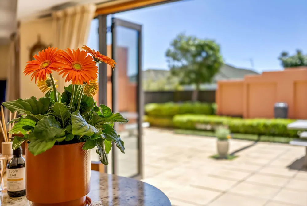Photos of 12 Eynsham Court