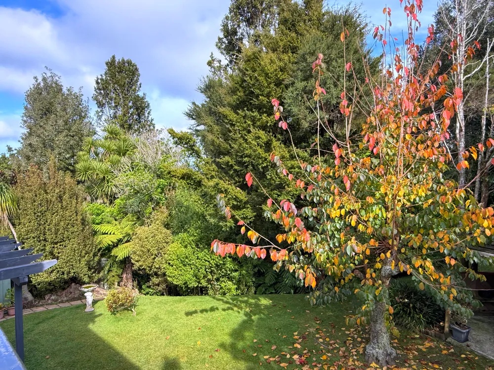 Photos of 1/3 Antrim Grove