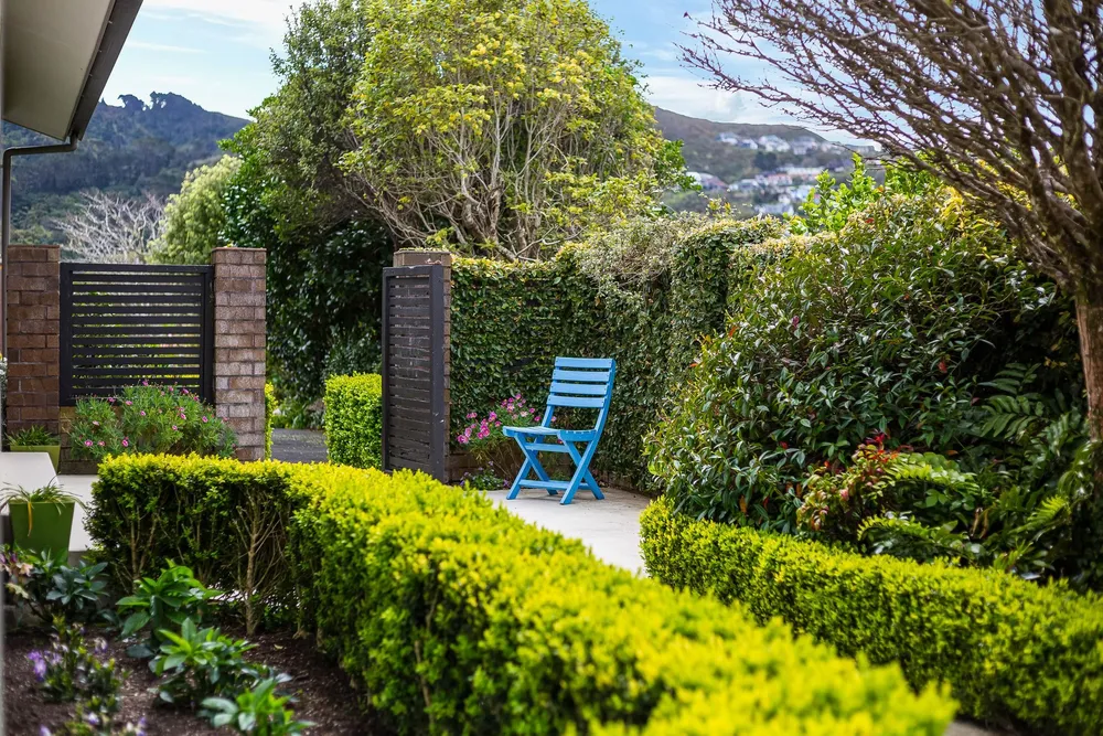 Photos of 5 Izard Road