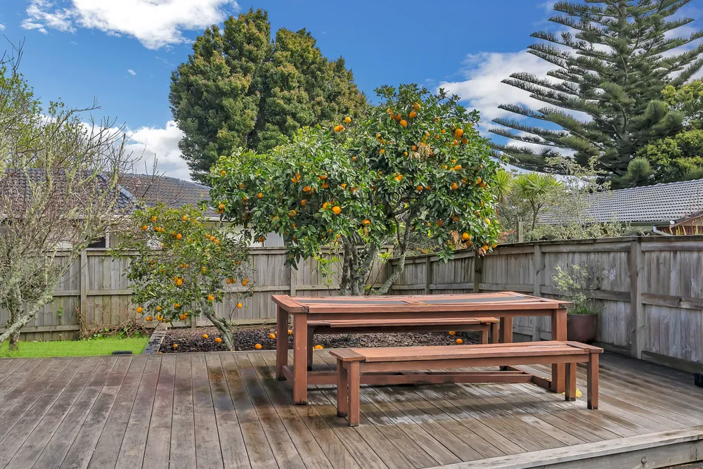 Photos of 35 Powrie Street
