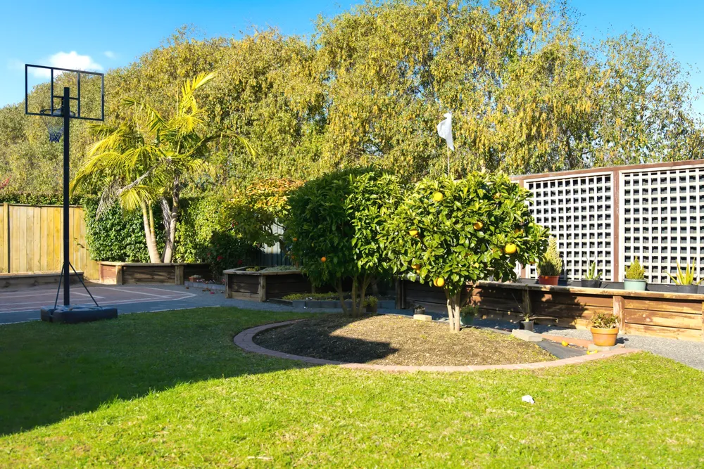 Photos of 34 Wawatai Drive