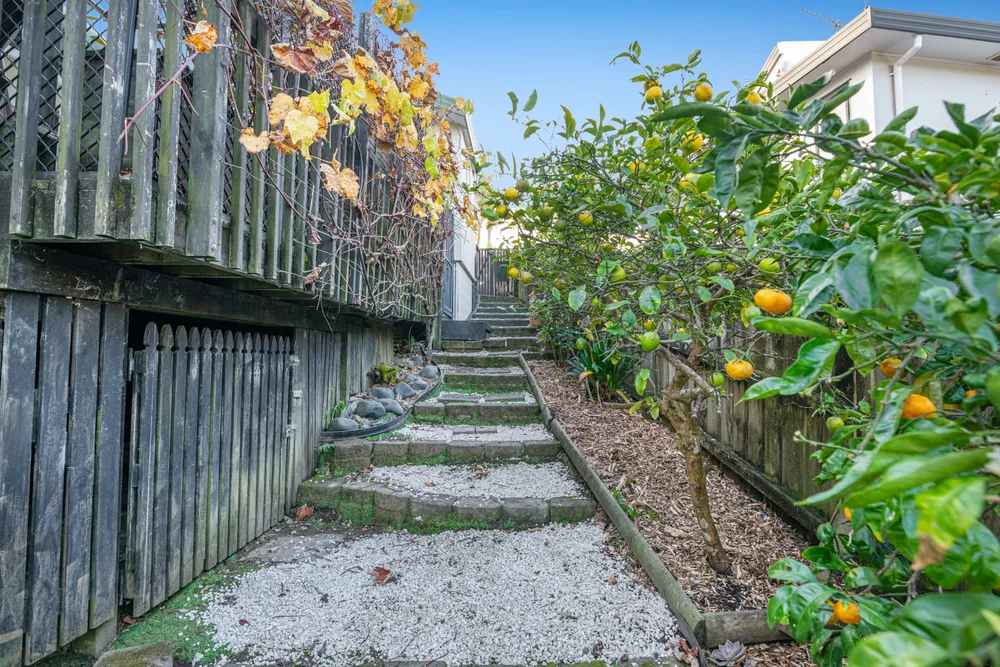 Photos of 12 Cayman Place