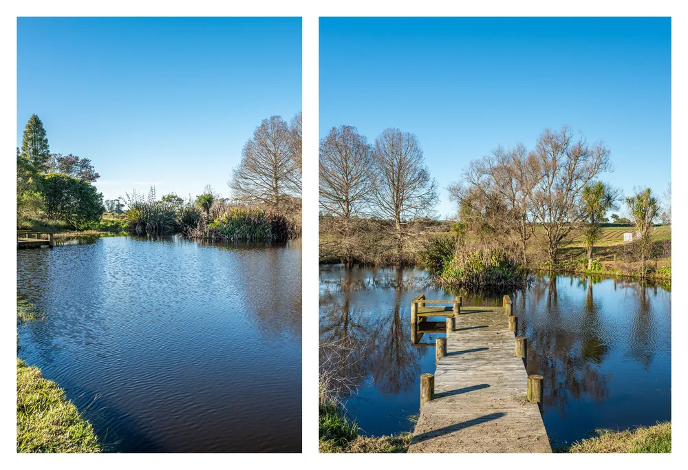 Photos of 186 Charles Road