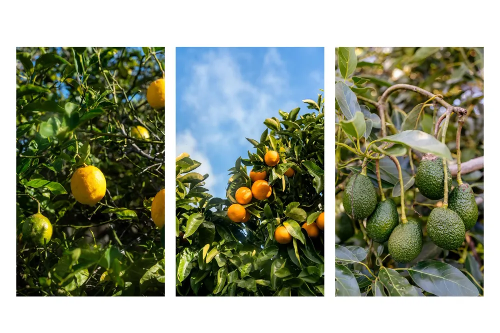 Photos of 41 Matapihi Road