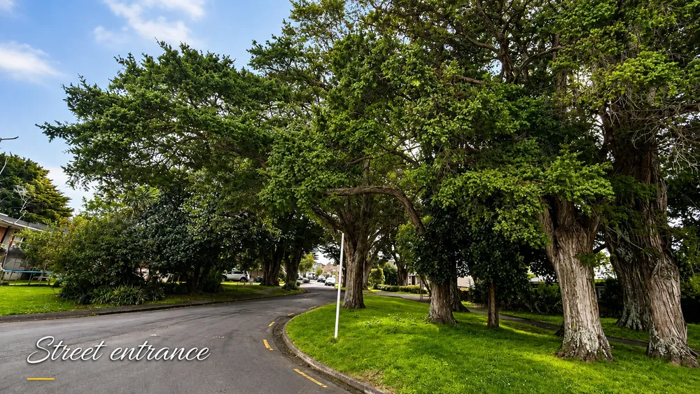 Photos of 9B Totara Grove