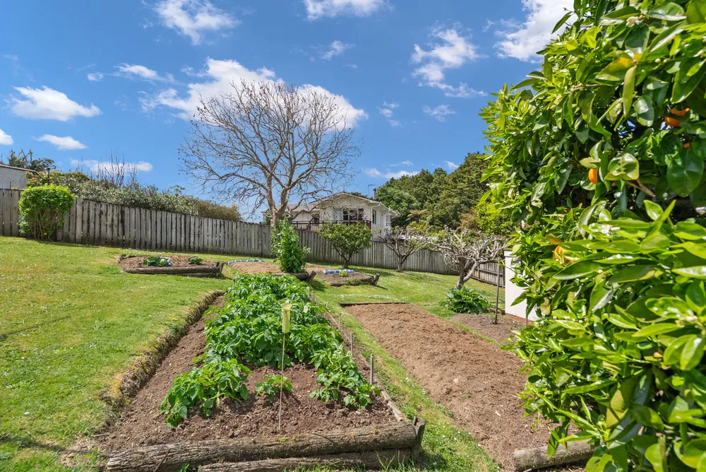 Photos of 62 Boundary Road