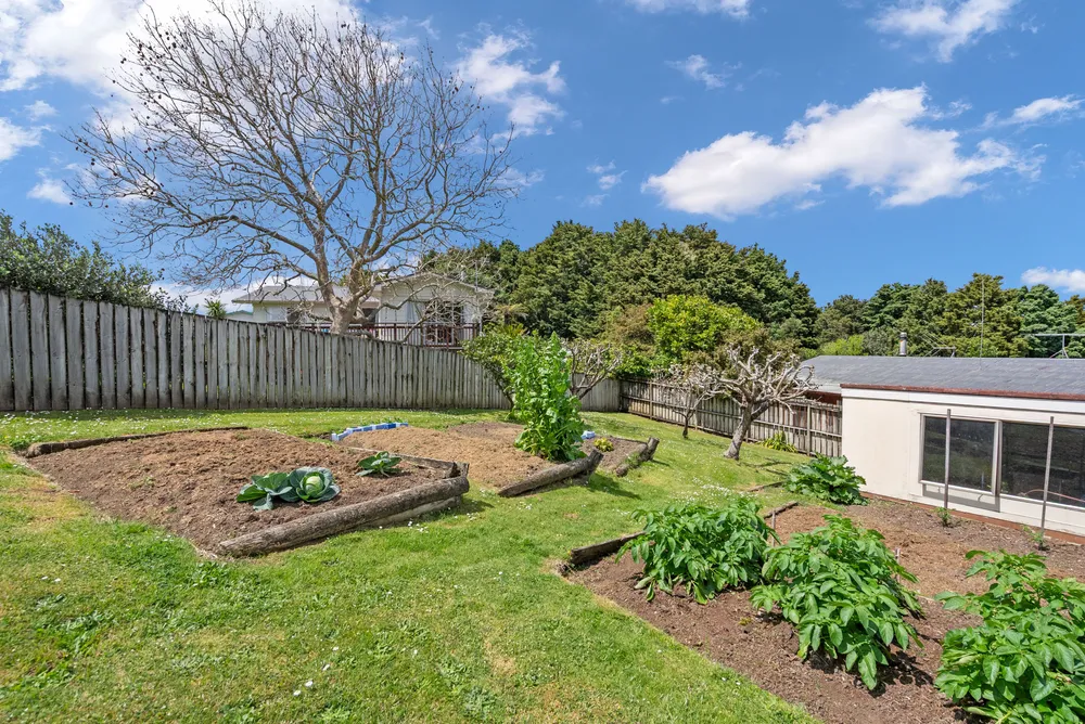 Photos of 62 Boundary Road