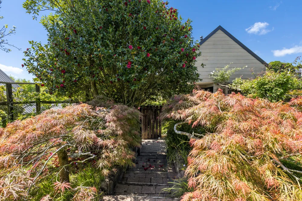 Photos of 125 Waitaha Road