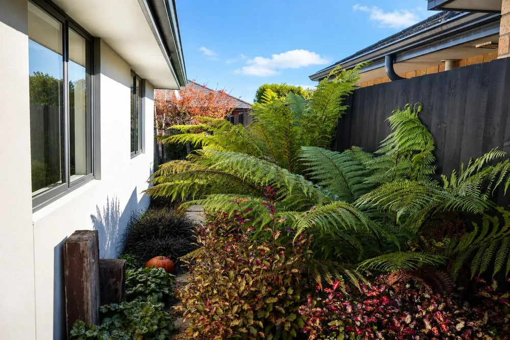 Photos of 25 Limbrick Crescent