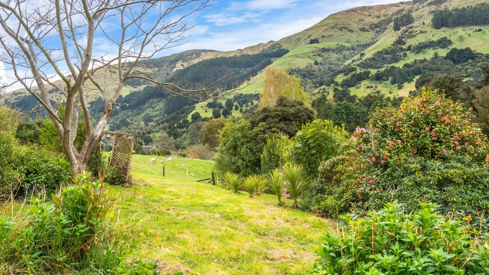 Photos of 24 Reynolds Valley Road