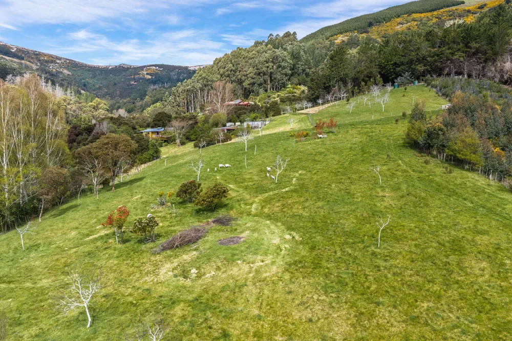 Photos of 24 Reynolds Valley Road