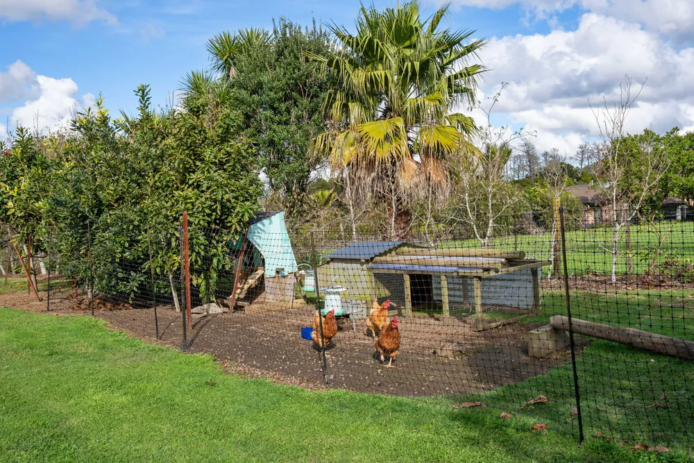 Photos of 890 Waipu Caves Road