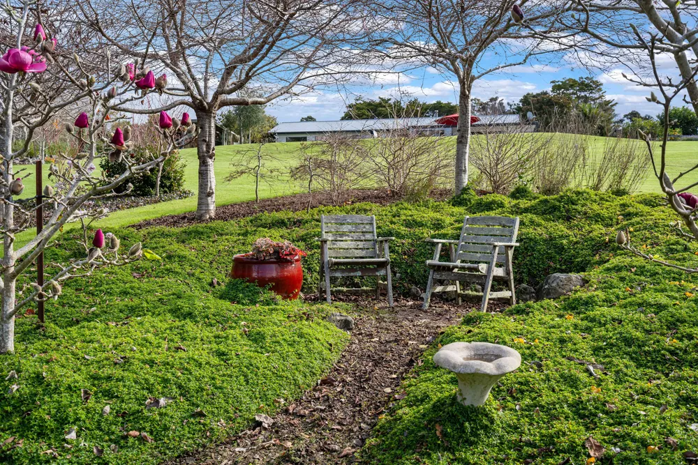 Photos of 890 Waipu Caves Road