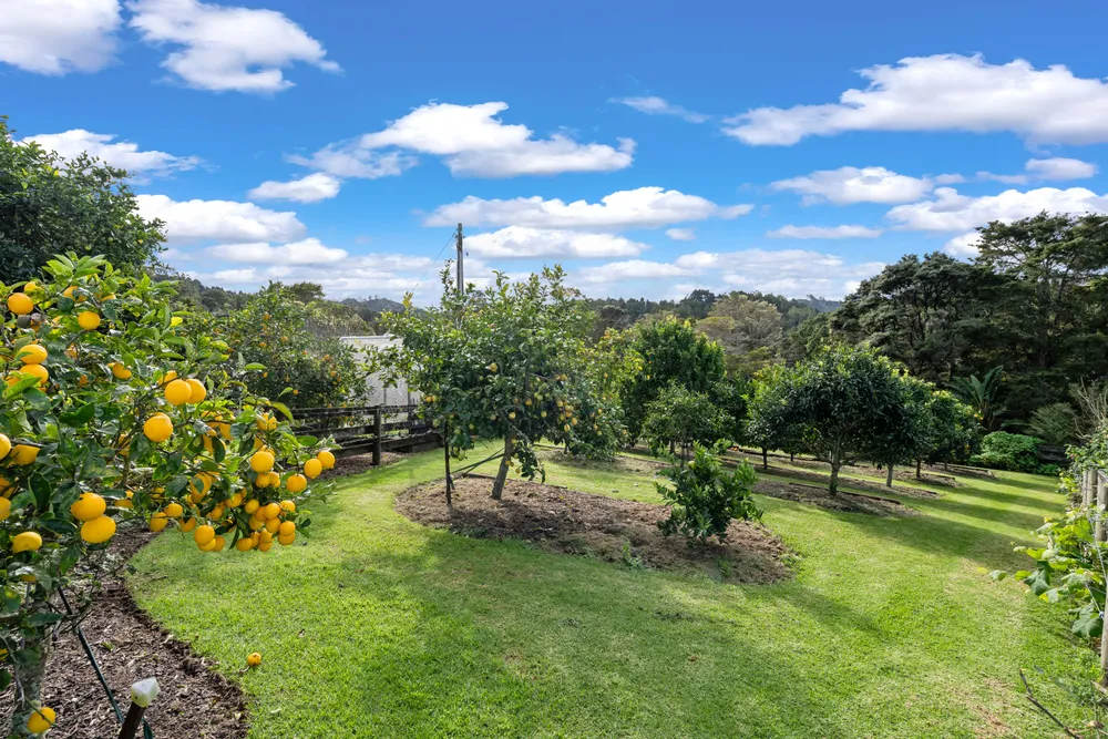 Photos of 890 Waipu Caves Road