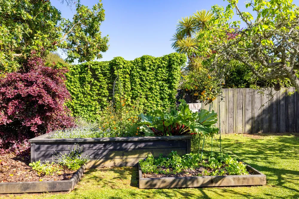 Photos of 17 Masters Avenue