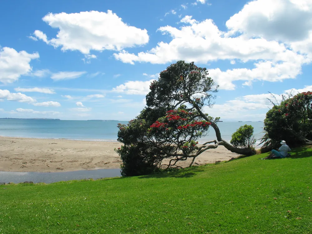 Photos of 121 Kowhai Road