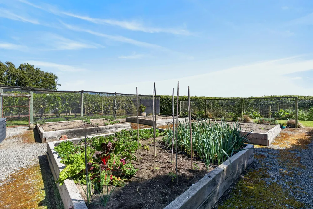 Photos of 35 Ridgens Road