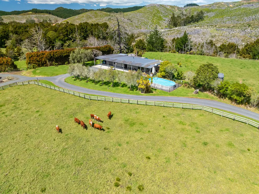 Photos of 83 Waitangi Road
