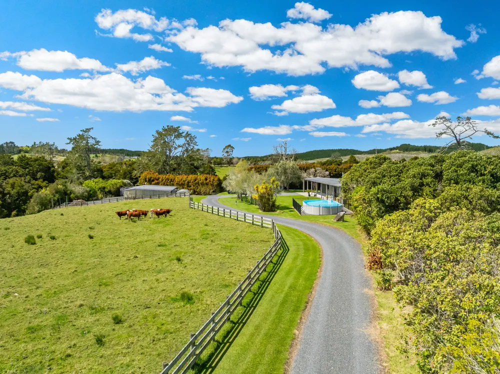 Photos of 83 Waitangi Road