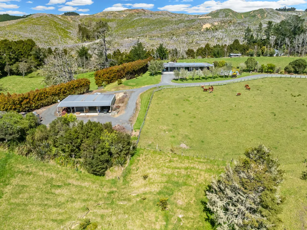 Photos of 83 Waitangi Road