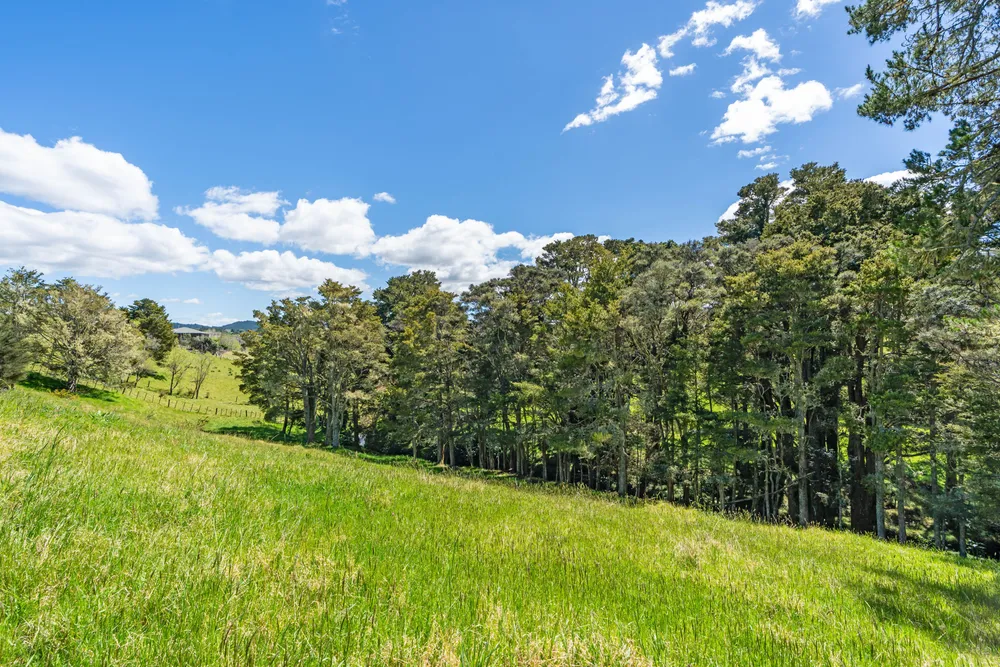 Photos of 83 Waitangi Road