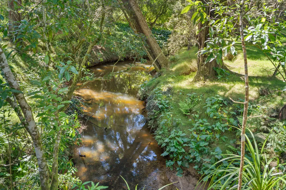 Photos of 83 Waitangi Road