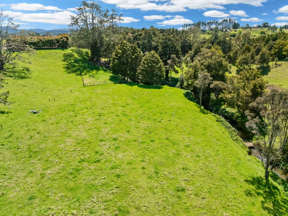 Photos of 83 Waitangi Road